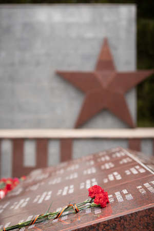 Close-up of flowers laid at the monument in memory of Soviet soldiers who died in the Great...