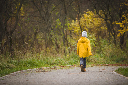 Back view on walking little boy. Child walking in the park on autumn day. countryside lifestyle
