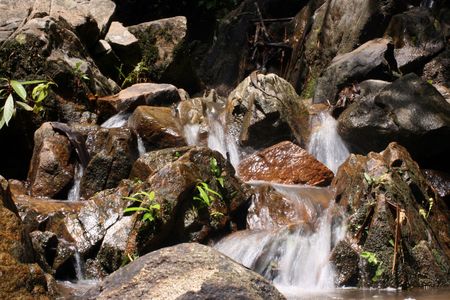 cascade water in the wild tropical forestの写真素材