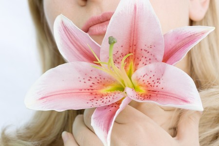 Lily flower in woman hands near faceの写真素材