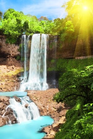 Waterfall in rain forestの写真素材