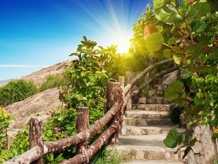 Wooden stairs in the tropical garden.の写真素材