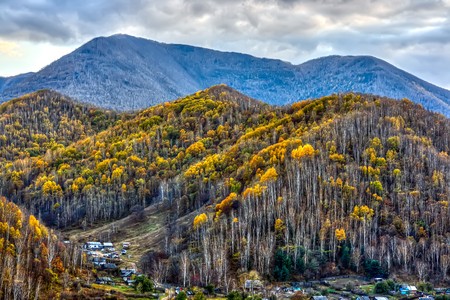Colorful autumn forest. Krasnorechensk. Primorskiy krai. Russia