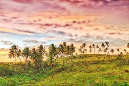 Rural landscape at sunset time. Donsol. Philippinesの写真素材