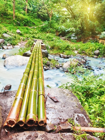 Bamboo bridge in the jungleの写真素材