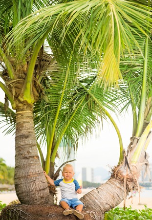 Baby sitting near palmtree on the beachの写真素材