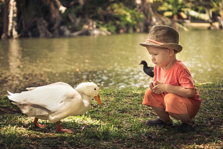 Boy and geese near lake. Mauritiusの写真素材