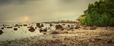 Amazing landscape at sunset. Mangroves and stones on the foreground. Mauritius island. Panorama