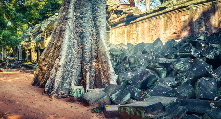 Ta Prohm temple at Angkor, Siem Reap, Cambodia. Panoramaの写真素材
