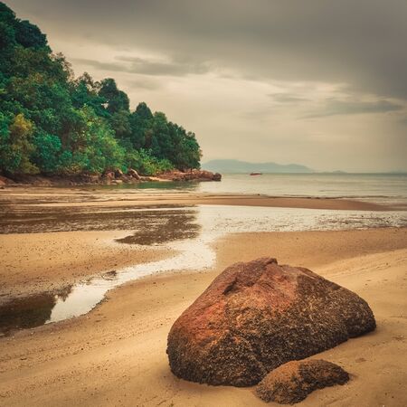 Penang national park at rainy day, Malaysia. の写真素材