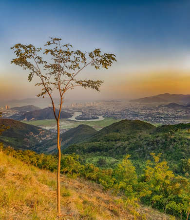 Sunset view of Nha Trang city from the mountain, tree on the foreground, Vietnamの写真素材