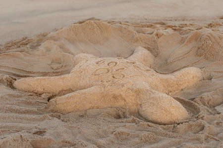 Sandy sculpture of a turtle on the beachの写真素材