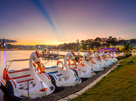 Pedal ducks at Xuan Huong Lake, sunset time, Dalat, Vietnamの写真素材