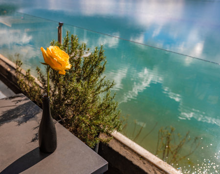 Amazing view of Tuyen Lam Lake, flower on the foreground. Dalat, Vietnamの写真素材