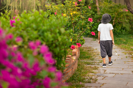 Rear view of a boy walking in a tropical gardenの写真素材