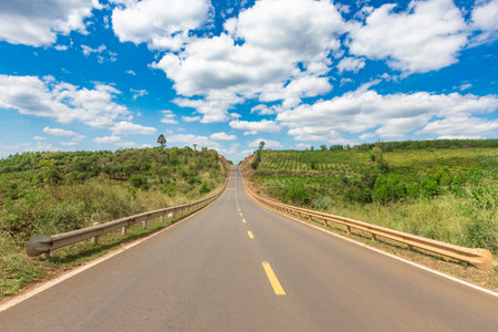 Countryside road and clousy sky. Rural landscape.の写真素材