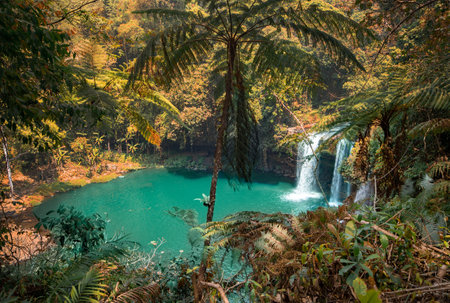 Tad Champee waterfall. Laos landscape.の写真素材