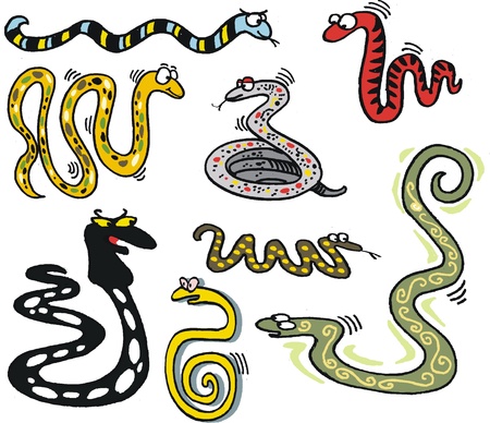 Vector cartoon of group of snakesのイラスト素材