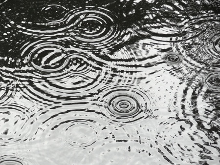 Rain ripples on pond making circular patternsの写真素材