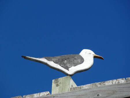 Seagull cut-out on roof with blue sky backgroundの写真素材