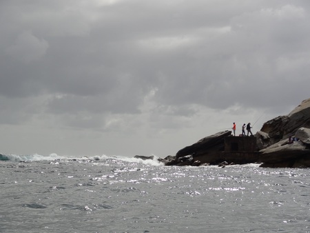 Rocky outcrop, Sydney harbour, Australia.の写真素材