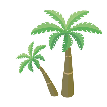 Two palm trees. Vector illustration, isolated on white background.のイラスト素材