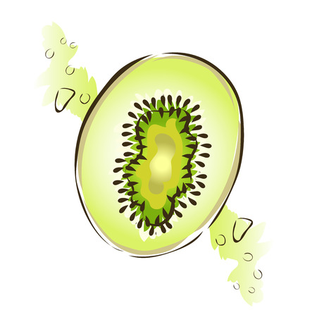 Green juicy fruit kiwi. Vector illustration, isolated on white background.のイラスト素材