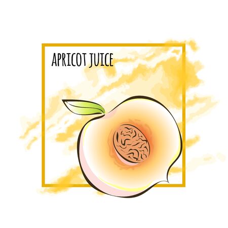 Juicy slice of apricot or peach on the background of yellow watercolor stain. Vector illustration, isolated on white background.のイラスト素材