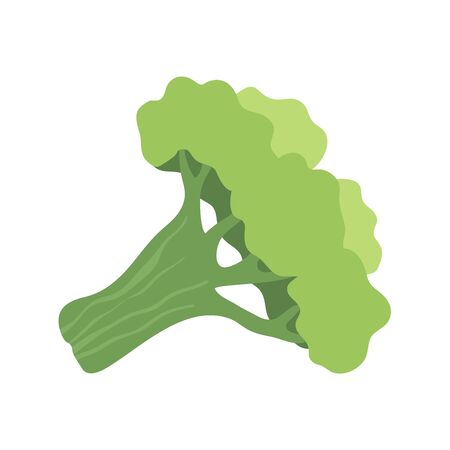 Broccoli. Flat Design Vector Icon Illustration, isolated on white Backgroundのイラスト素材