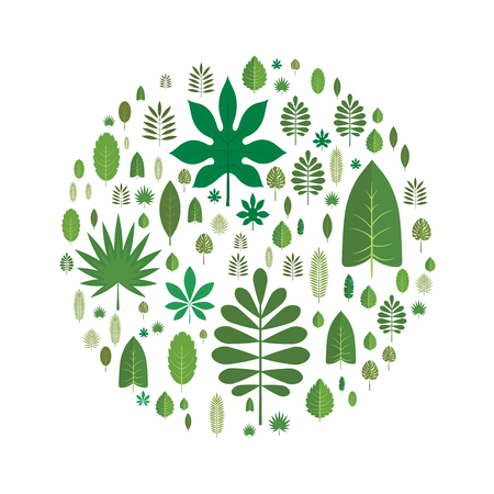 The leaves of different trees arranged in the shape of a circle. Design element, vector illustration, isolated on white background.のイラスト素材