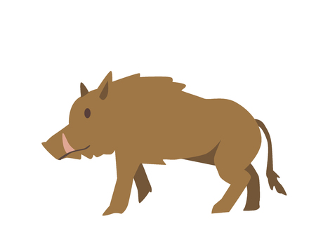 Furry wild boar. Flat vector illustration. Isolated on white backgroundの写真素材