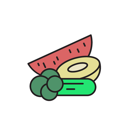 Food with high water content. Cartoon design icon. Colorful flat vector illustration. Isolated on white background.の写真素材