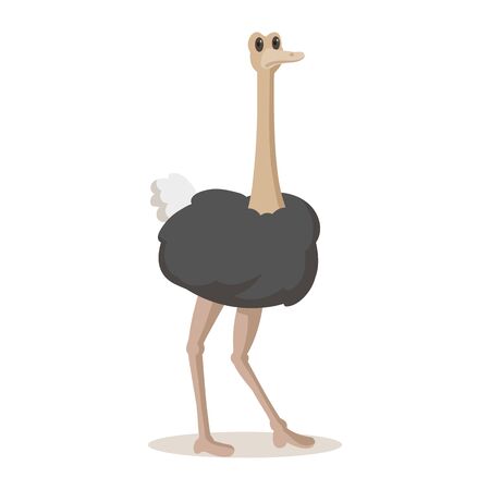 Cute ostrich standing. Colorful flat illustration, isolated on white background.のイラスト素材