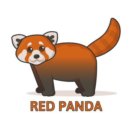 Cute red panda. Colorful flat vector illustration with outline, isolated on white background.のイラスト素材