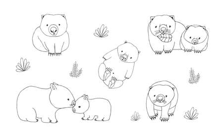 Set of cute young wombat in various poses. Adult animal with cub. Hand drawn contour vector illustration.のイラスト素材