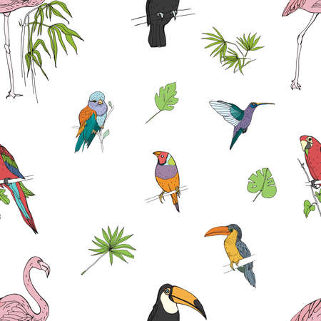 Realistic hand drawn colorful seamless pattern of beautiful exotic tropical birds with palm leaves. Flamingos, cockatoo, hummingbird, toucan, peacock.のイラスト素材