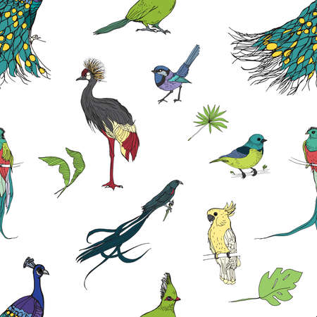 Realistic hand drawn colorful seamless pattern of beautiful exotic tropical birds with palm leaves. Flamingos, cockatoo, hummingbird, toucan, peacock.のイラスト素材