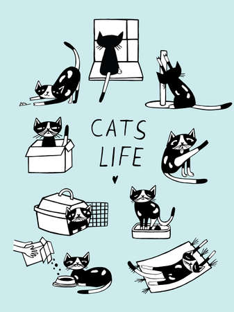 Cats life comic doodle illustration. Hand drawn kitten in various postures.のイラスト素材