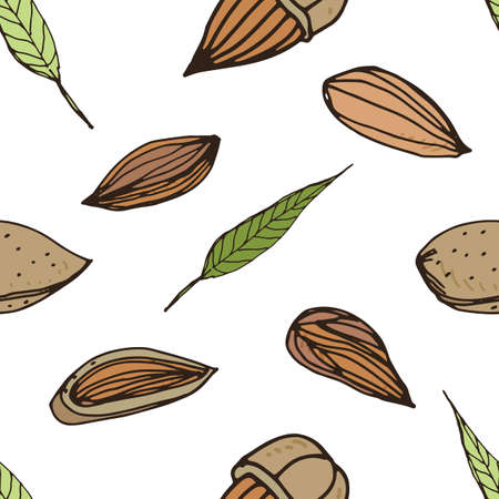 Nut seamless on white background. Hand drawn colorful pattern with almond.のイラスト素材