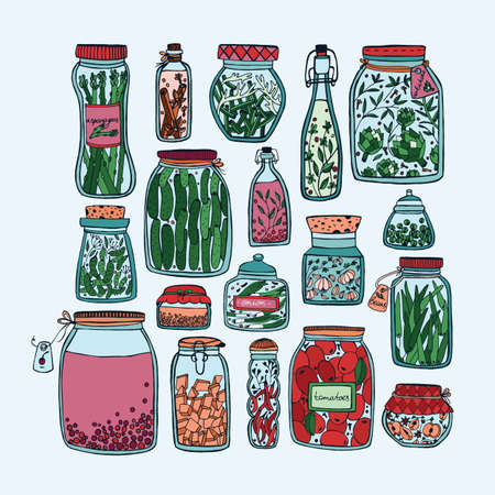 Set of pickled jars with vegetables, fruits, herbs and berries on shelves. Autumn marinated food. Colorful Illustration.のイラスト素材