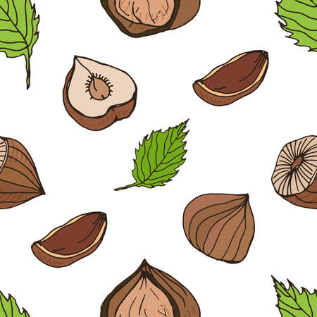 Nut seamless on white background. Hand drawn colorful pattern with hazelnut.のイラスト素材