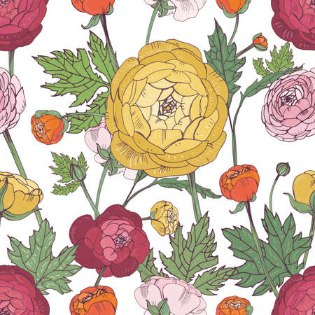 hand drawn vintage floral colorful seamless pattern with ranunculus flowerのイラスト素材
