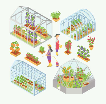 Set of 3d glass greenhouse, hotbed with seedlings. People water plants, flowers, vegetables in garden bed, flowerbed. Isometric colorful vector illustrationsのイラスト素材