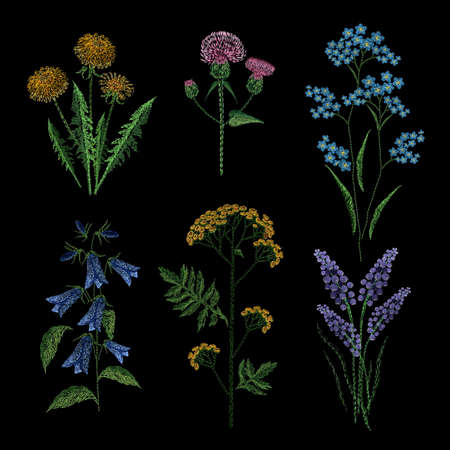 Set of embroidery plants on black background. Different flower compositions, wildflowers. Folk line trendy pattern for clothes, dress, decor. Colorful satin stitch floral design vector illustration.のイラスト素材