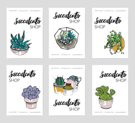 Succulents shop advertising cards collection. Colorful domestic plants store flyer set. Vector illustration on white background.のイラスト素材