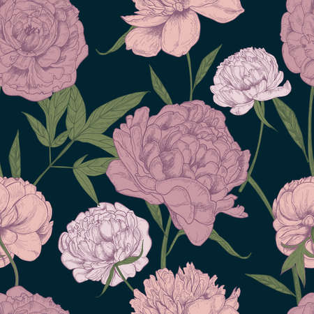 Beautiful detailed peonies seamless pattern. Hand drawn blossom flowers and leaves. Colorful vintage vector illustration.のイラスト素材