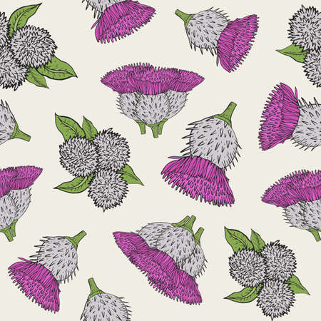 Burdock seamless texture with hand drawn buds. Colorful vector illustration pattern.のイラスト素材