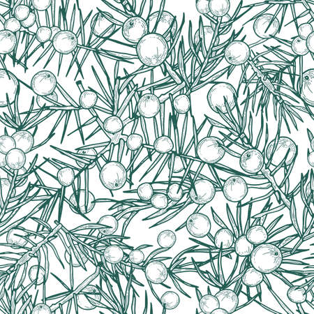 Detailed hand drawn branches with berriesのイラスト素材