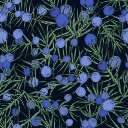 Juniper seamless pattern. Detailed hand drawn branches with berries. Colorful hand drawn illustration.のイラスト素材