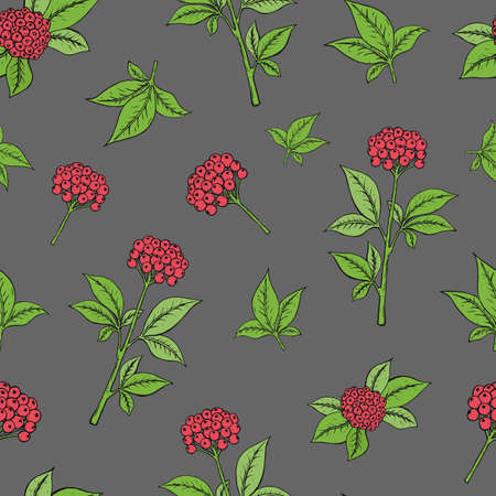 Seamless pattern with ginseng plant.のイラスト素材